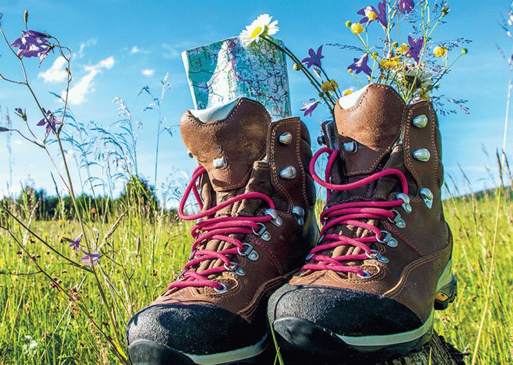 Randonnée à Beauzelle